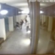 Sono tutti normali. E poi, c’è la notte