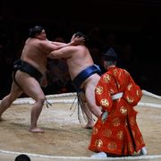 Un incontro di sumo
