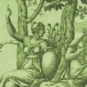 Di troppa crescita si muore