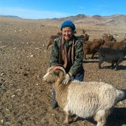 Il cashmere non è solo roba da ricchi:
«In Mongolia diamo aiuto ai più fragili»