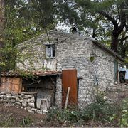 Libertà o controllo? I bambini del bosco che dividono l’Italia