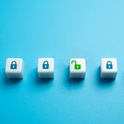 Open access: dalla Rete dei pionieri alla Rete di tutti