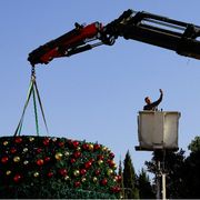 A Betlemme è di nuovo un Natale di luci