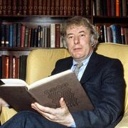 Memoria, famiglia, impegno: le poesie inedite di Seamus Heaney