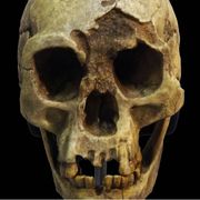 Così si estinsero gli hobbit: la triste storia dell'Homo floresiensis