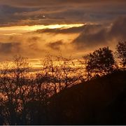 Il nostro Dio, che trasfigura il dolore in urlo di vita