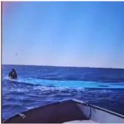 Lo screenshot del video che Alarm Phone ha ricevuto dal pescatore che ha recuperato l'unico superstite del naufragio / ALARMA PHONE