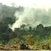 Brasile, indios ostaggi della politica “interessata”