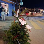 L'albero coi biglietti sistemato davanti al locale