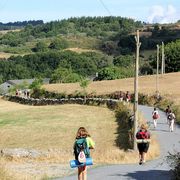 A Santiago nel 2025 è record di pellegrini. Che ci vanno per motivi religiosi