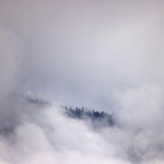 “Dove sei?”: dal nascondersi alla grazia dell’incontro