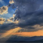 Non ci sarà mai pace se la vita innocente può essere uccisa