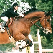 Giuseppe Di Matteo a cavallo: l'equitazione era una delle sue più grandi passioni