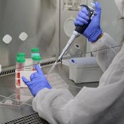 «Congelate gli ovuli»: la proposta choc di un'azienda diventa un benefit aziendale