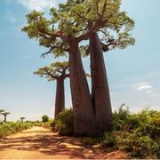 Il posto più solitario del mondo