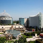 La scoperta: un farmaco contro l'insonnia curerà la sclerosi multipla