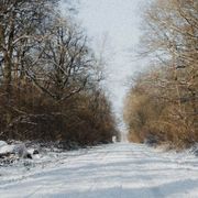 Ma qual è la vera letizia?