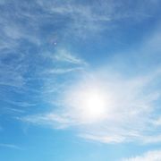 Agli animali "manca la parola". E noi impariamo ad abbaiare