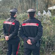 Il femminicidio, il doppio suicidio e noi cristiani con il compito di seminare speranza