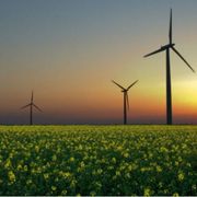 Dieci anni di ASvis: "Insieme per lo sviluppo sostenibile"