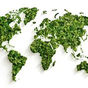 L'Agenda 2030 e Asvis (che oggi compie dieci anni)