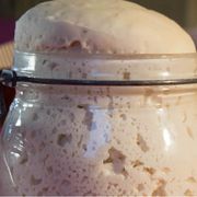 Generativi come lievito madre