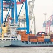 Dal riso italiano al vino argentino: chi vince con i dazi Usa