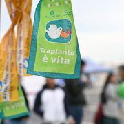 Il "cuore bruciato" è un dramma, ma in Italia il sistema-trapianti funziona