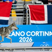 Strani Giochi: Cortina scopre i vigili romani e l'America l'acqua calda