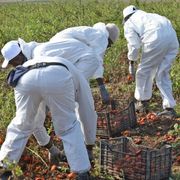 La rete napoletana dell'accoglienza scrive a Poste: aprite i "conti base" ai richiedenti asilo