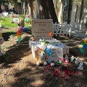 A tre anni dalla strage di Cutro c'è una lapide per il piccolo Alì