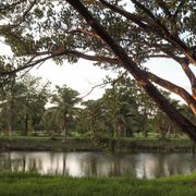 La felicità che mette radici in Dio