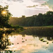 La biologa Evangelista: «Vivere in Amazzonia con un caimano per vicino»