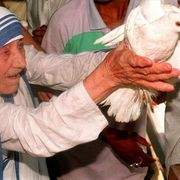 E lo sguardo di Madre Teresa si posò su Pasolini