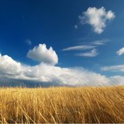 Il mondo che Dio ama è ampio come l'intera la famiglia umana