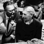 Lise Meitner, ma non quella della bomba