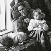 Cittadinanza, la Consulta conferma: non basta un antenato per essere italiani