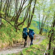 Boom dei cammini, sulle vie del turismo lento l'Italia "corre": nel 2025 oltre 300mila viandanti