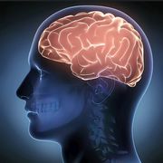 Neurotecnologie sempre più sofisticate, ora servono regole