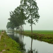 Intrusione salina, prepariamoci ad affrontarla