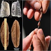 Anche i bambini del Paleolitico giocavano con il pongo