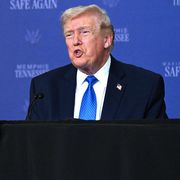 Il presidente degli Stati Uniti Donald Trump