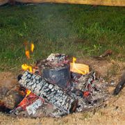 I Neanderthal si curavano con il catrame di betulla