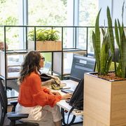 Rapporto Cisl sul lavoro: l'occupazione rallenta tra inverno demografico e problemi strutturali