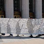 Il gatto, la volpe e i social network