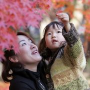 In Giappone debutta l'affido condiviso in caso di separazione