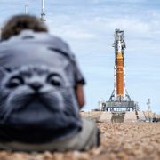 La paura di indicare la luna, la voglia di farla nostra