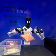 Lavorano, ci fanno compagnia, giocano: i robot umanoidi sono già in mezzo a noi