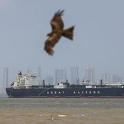 La nave mercantile battente bandiera indiana Jag Vasant arriva al porto di Mumbai, in India, dopo aver attraverso lo Stretto di Hormuz