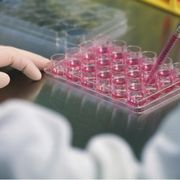 Terapia genica e farmaci con Rna, dal Pnrr successi italiani. «Ma ora va data continuità»